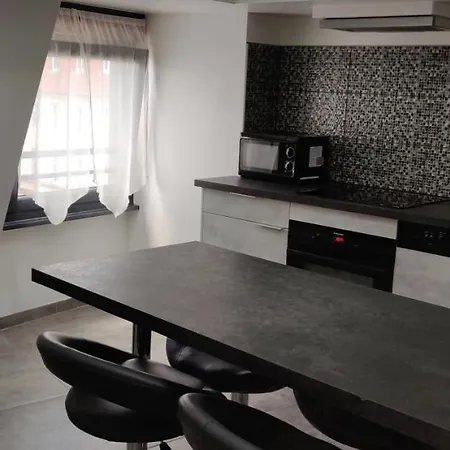 Le Bronze, De Standing En Hypercentre Apartment Sarreguemines