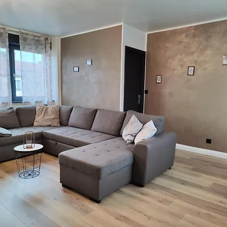 Le Bronze, De Standing En Hypercentre Sarreguemines