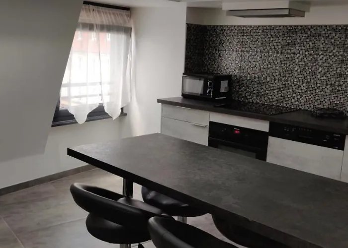 Le Bronze, De Standing En Hypercentre Apartament Sarreguemines